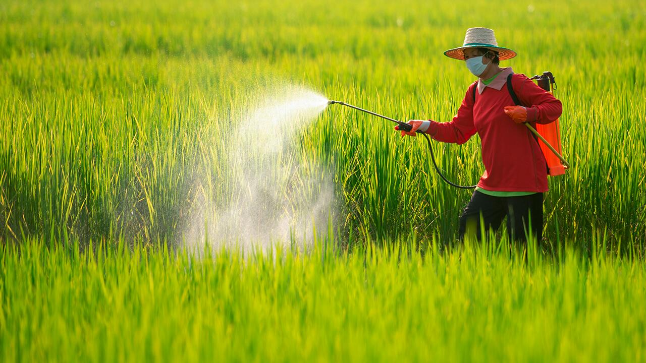 Pestizide stellen für Mensch und Umwelt ein großes Risiko dar. 